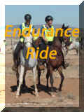 Endurance Ride